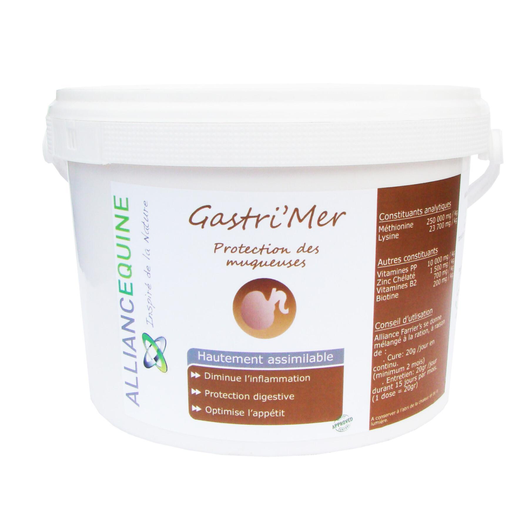 Gastric comfort food supplement Alliance Equine Gastri'Mer