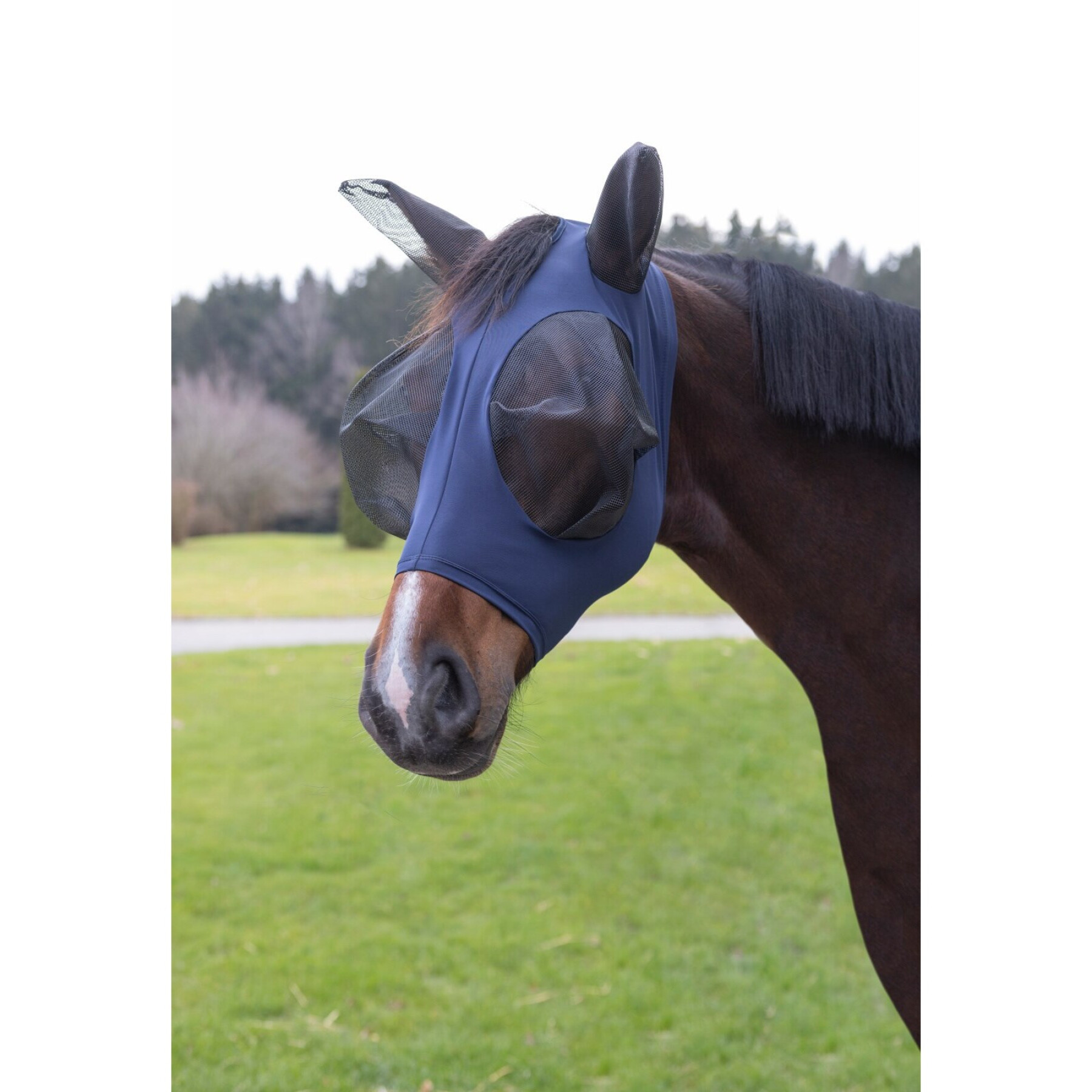 Anti-vliegenmasker voor paarden Covalliero FinoStretch