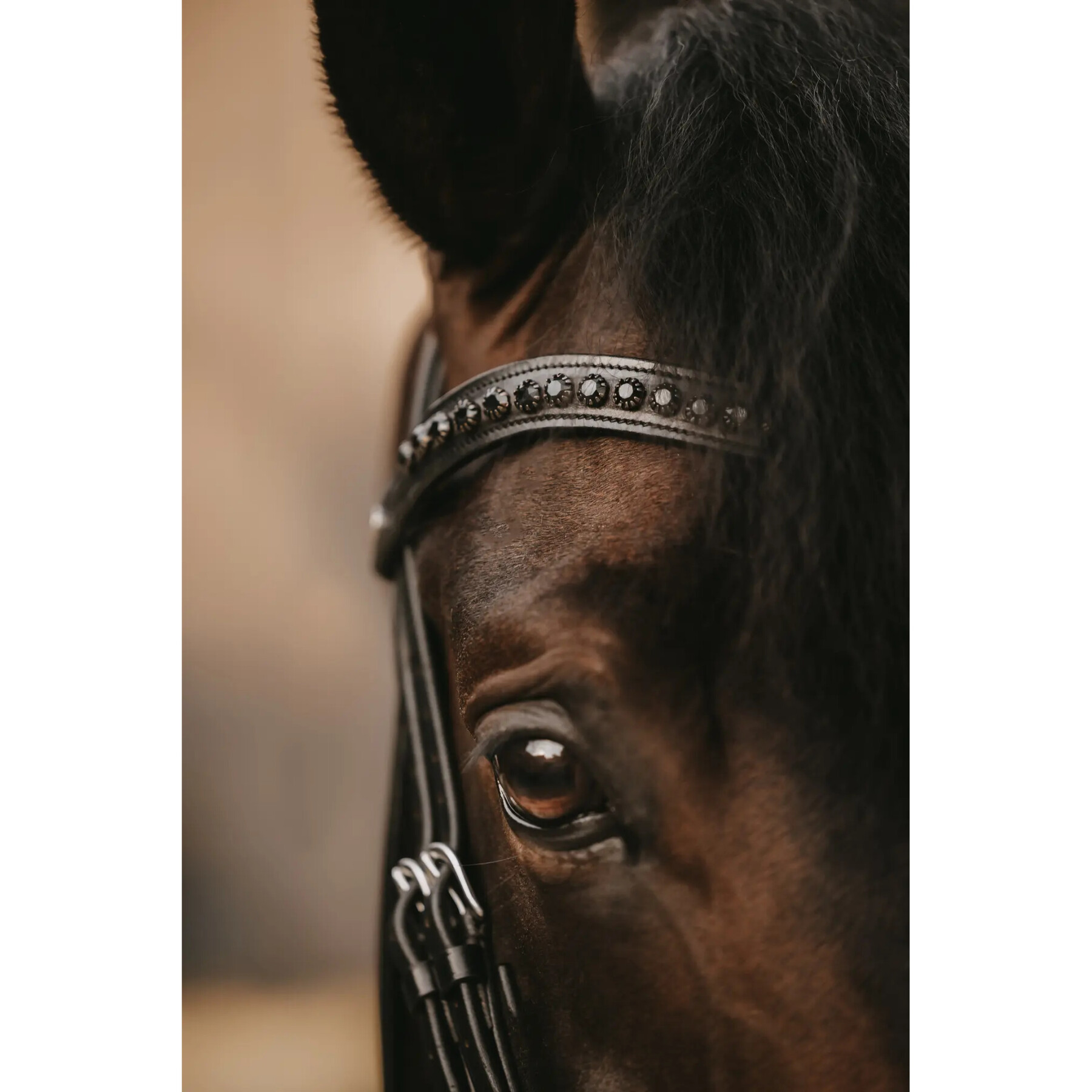 V-vormige paardenwenkbrauwband Dy’on Swarovski