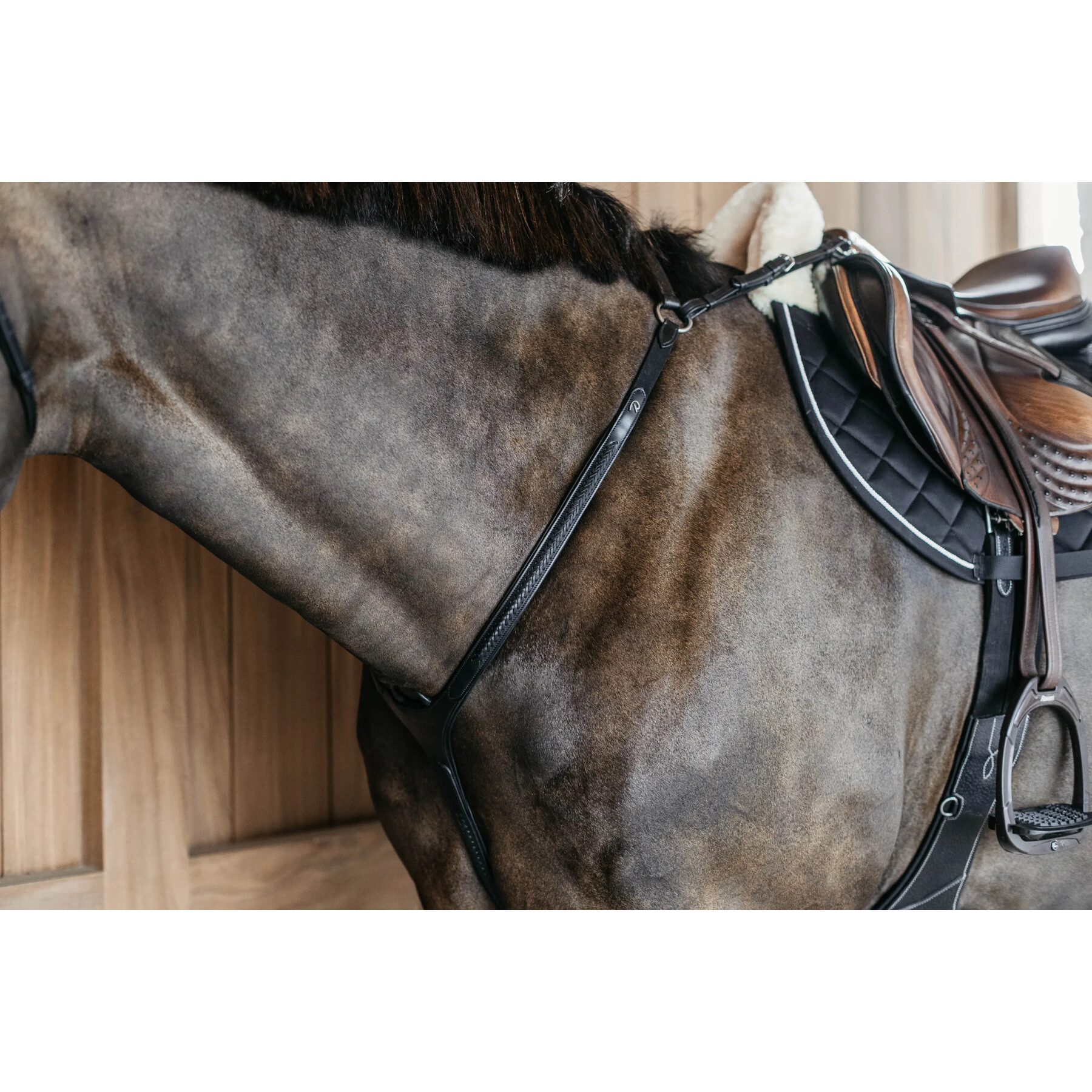 Jachthalsband voor paarden met gevlochten brug Dy’on