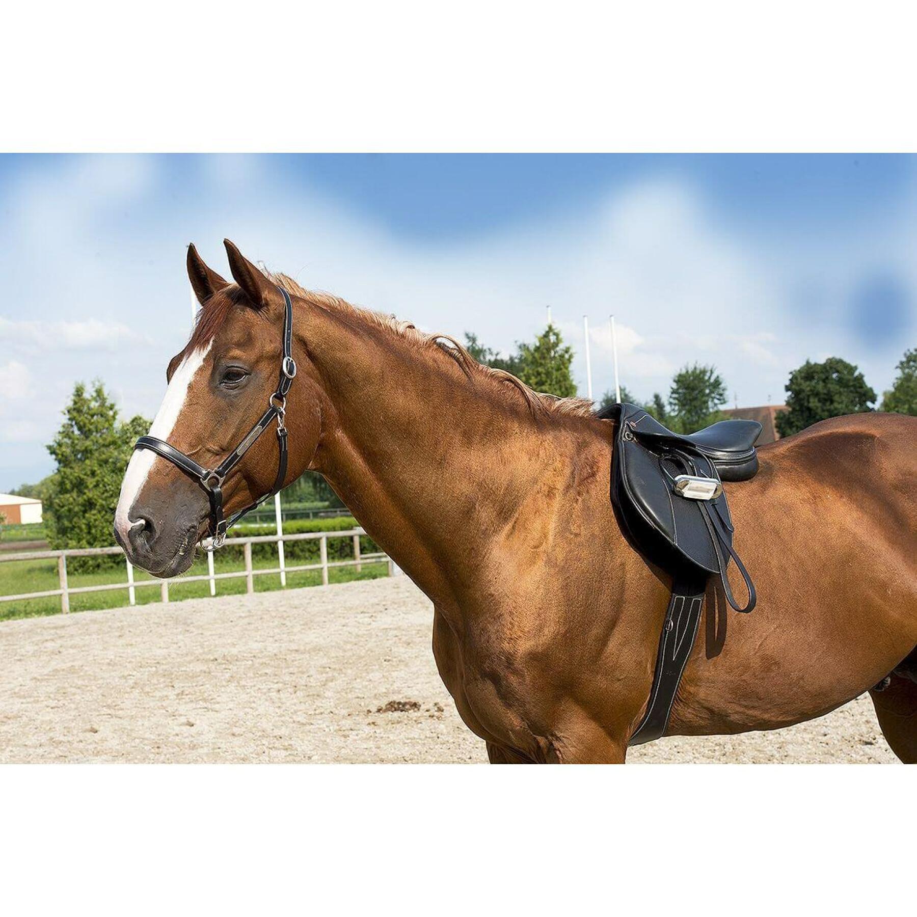 Grooming lederen halster voor volbloed paarden ERIC THOMAS “Pro”