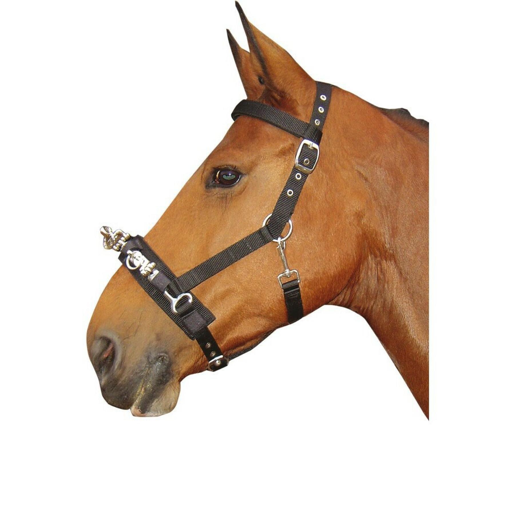 Paardenkaptoom Harry's Horse