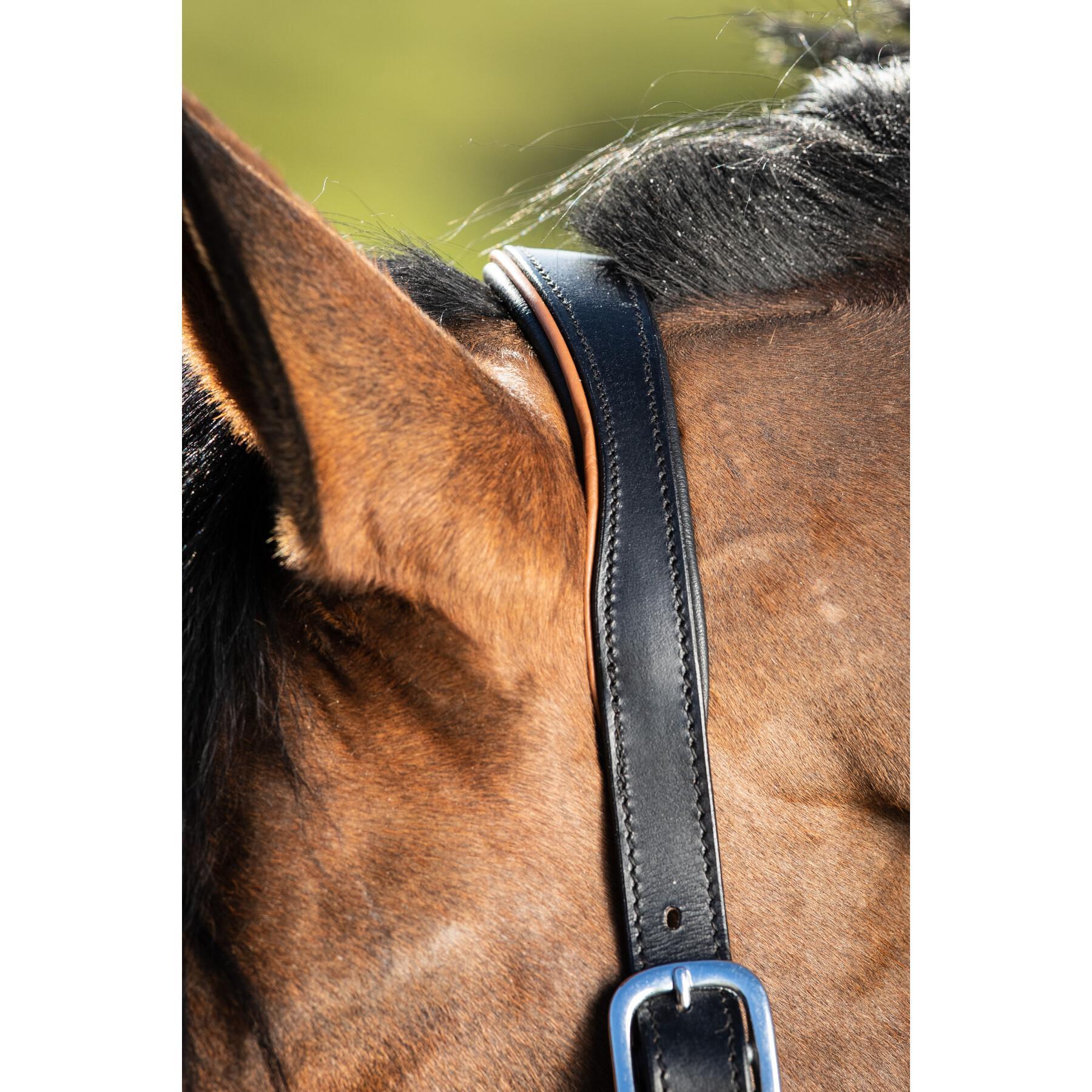 Lederen halster voor paarden HFI Two-Tone