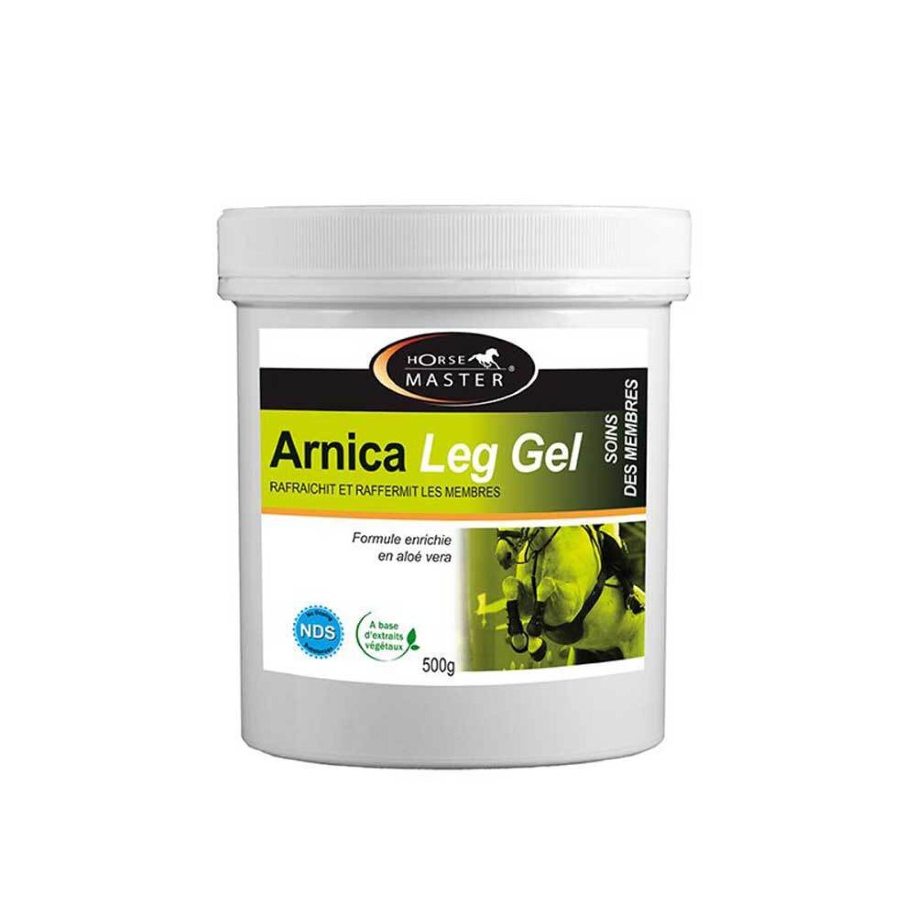 Verfrissende gel voor paarden Horse Master Arnica Leg 500 g