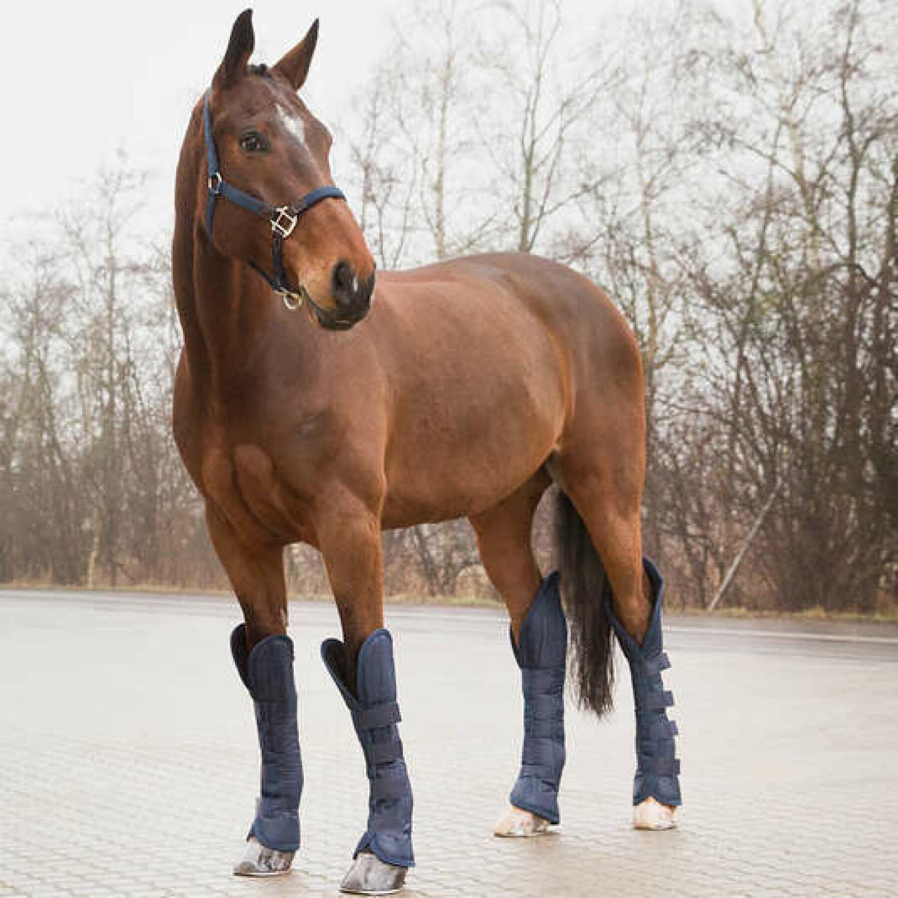 Beschermende beenkappen voor het vervoer van paarden Horze
