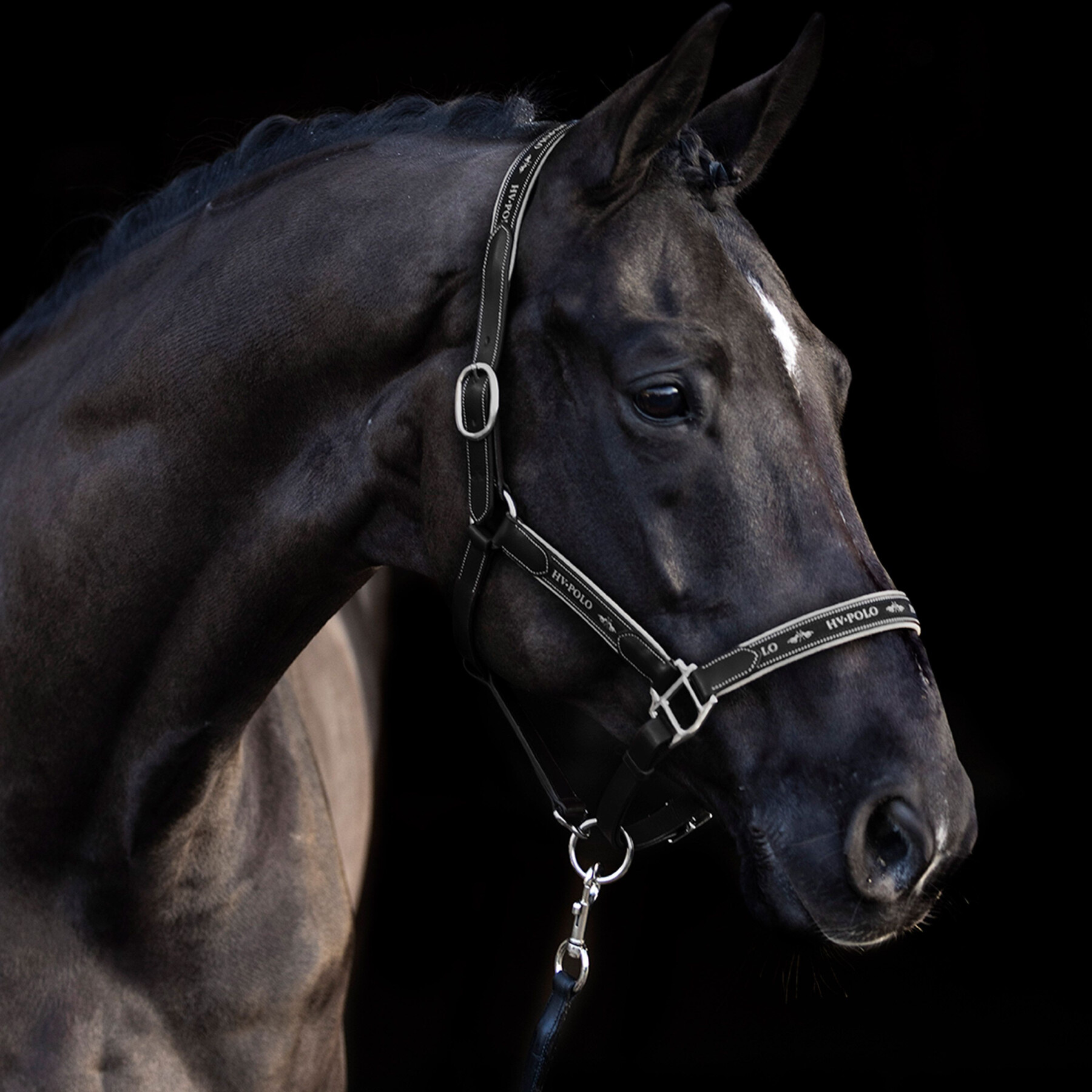 Leren halster voor paarden HV Polo Iconic