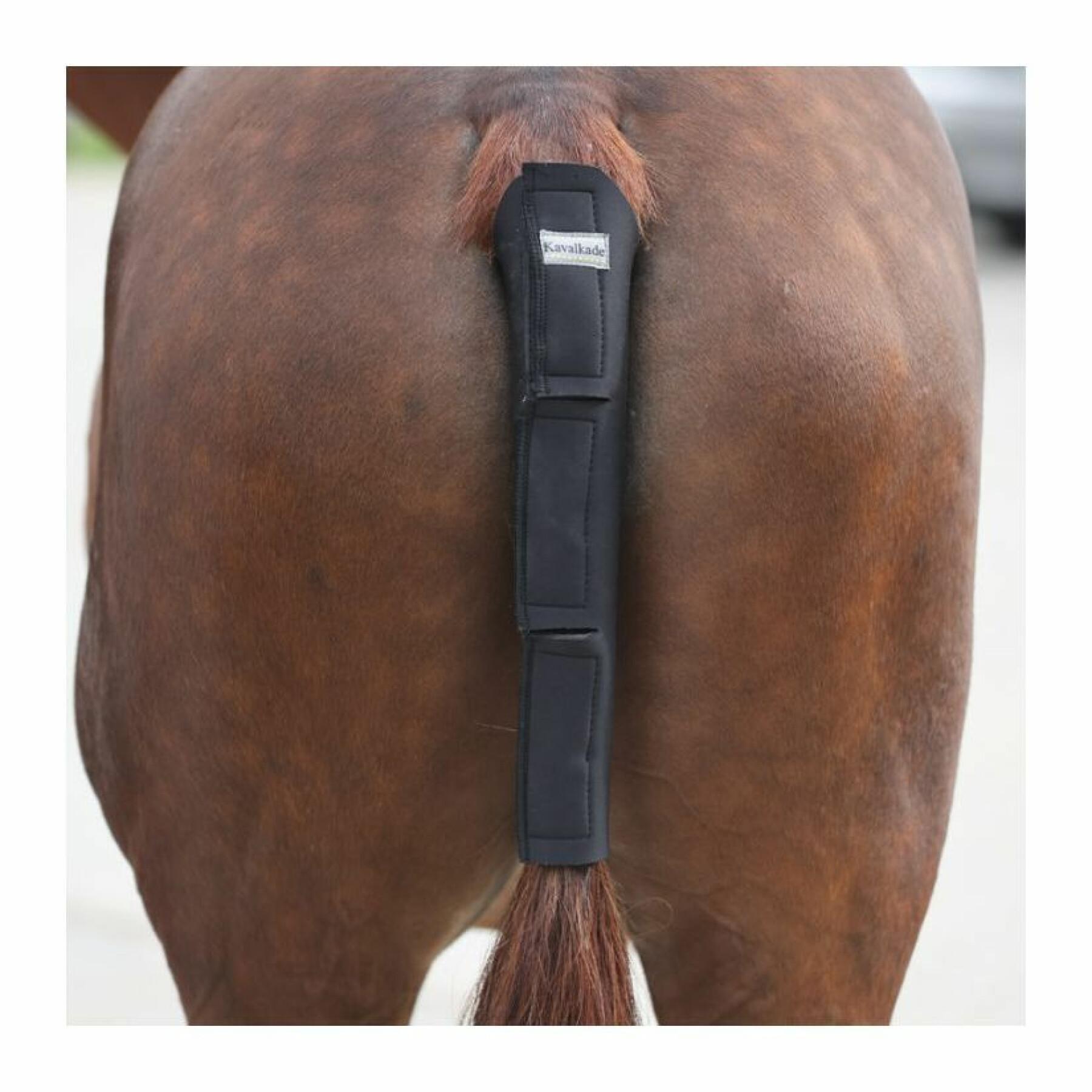 Staartbeschermer voor paarden kavalkade