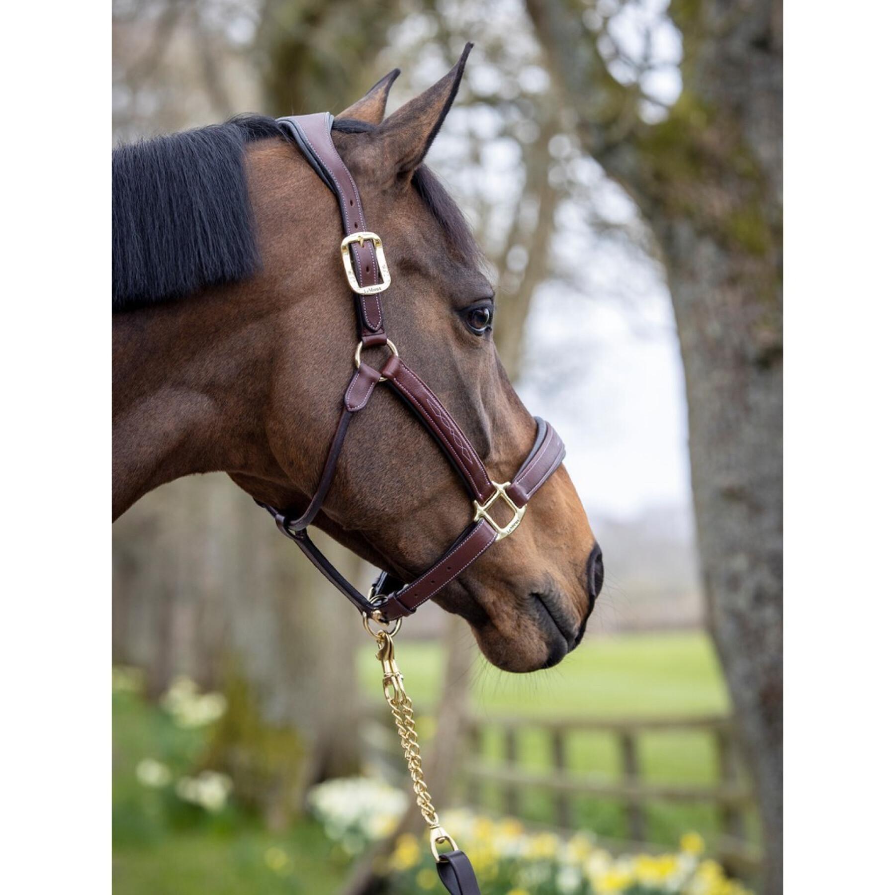 Leren halster voor paarden LeMieux Stitched Comfort