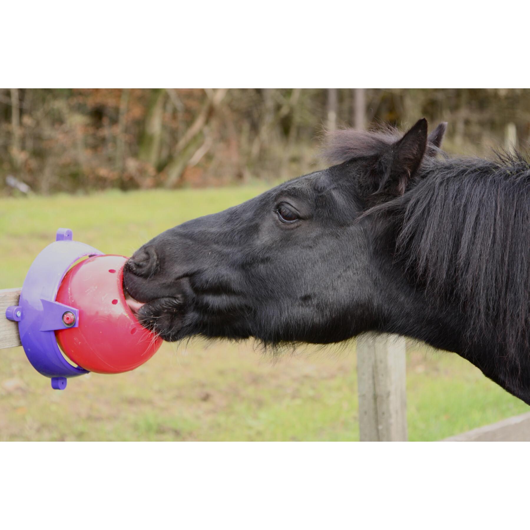 Paardenvoerbak Likit Tongue Twister