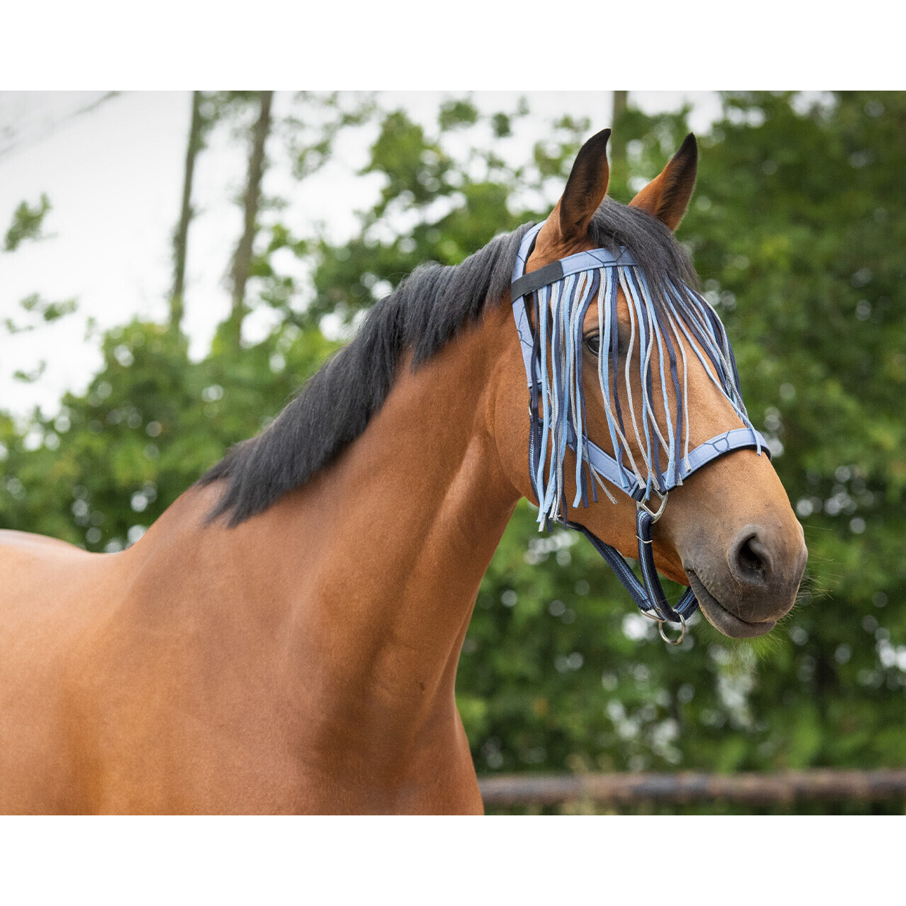 Anti-vliegband voor paarden QHP Collection