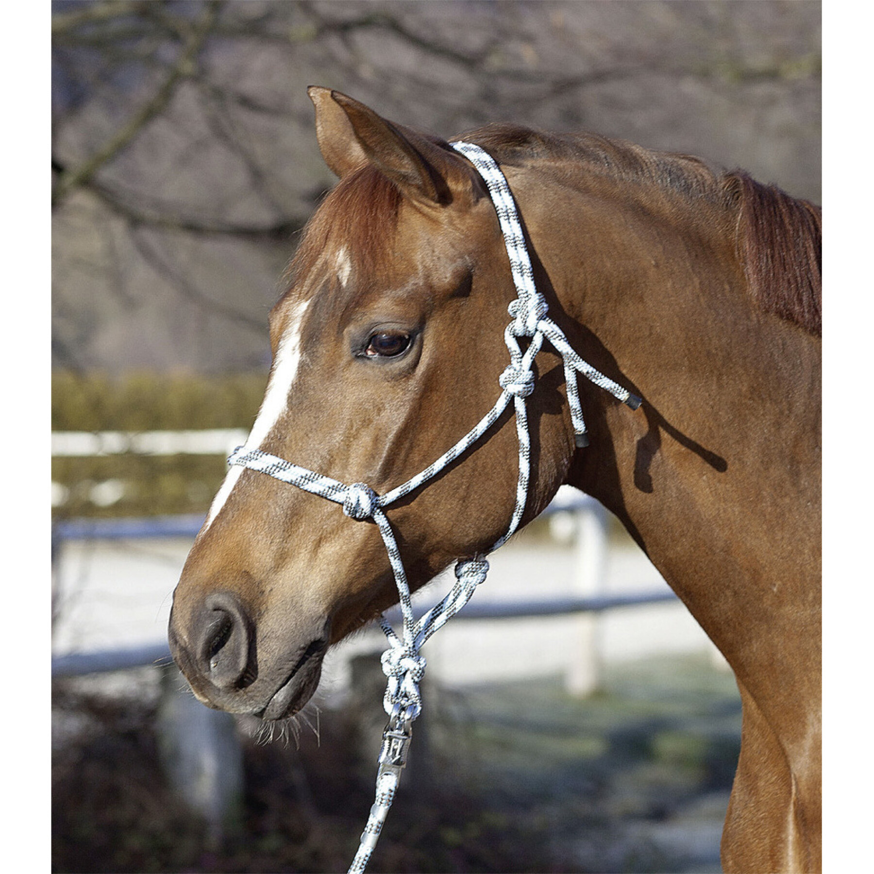Geknoopt touwhalster voor paarden USG