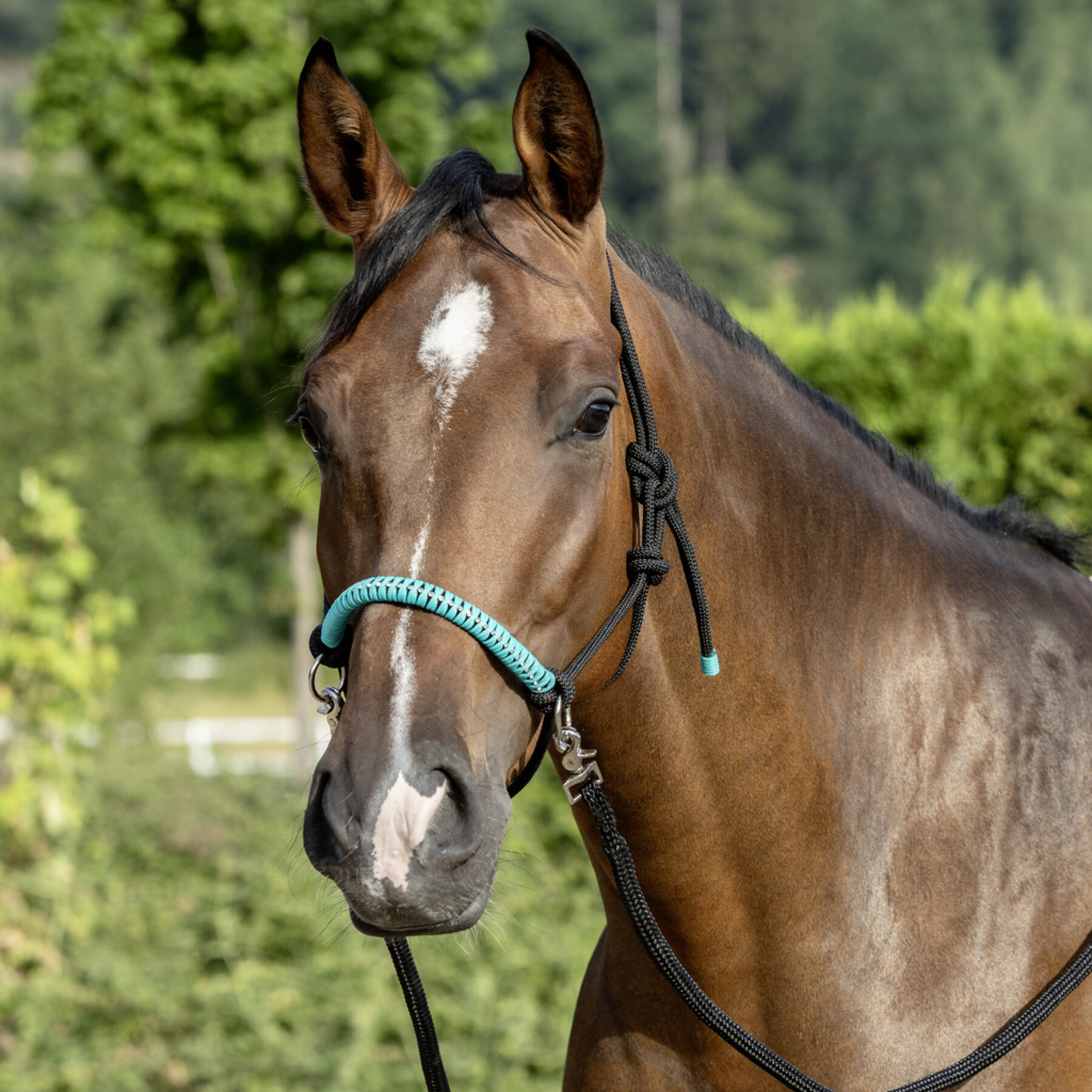 Geknoopt touwhalster met teugels voor paarden USG