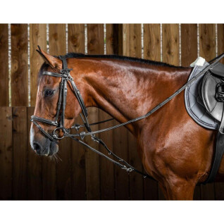 Nylon paardenhoofdstel accessoire Dy’on Gogue