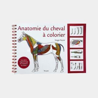 Anatomie van het paard kleurboek Ekkia