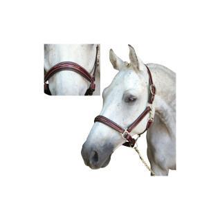 Halster voor paarden Lexington Denver