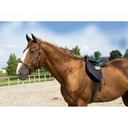 Halster voor paard voor pony lederen verzorging ERIC THOMAS “Pro”
