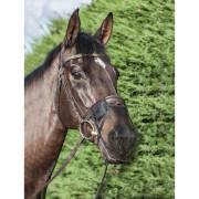 Neusbescherming voor paarden LeMieux Comfort Shield