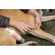 Zink gevoelige huidverzorging voor paarden Alodis Care