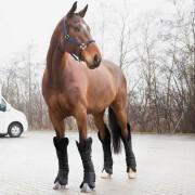 Transport beenkappen voor paarden Horze