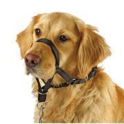 Trainingshalsband voor honden Kerbl Maxi Coach