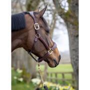Leren halster voor paarden LeMieux Stitched Comfort