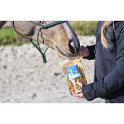 Crackers voor de voortbeweging van paarden Kurkuma Natural Innov Natural'Crackers Moov - 300 g