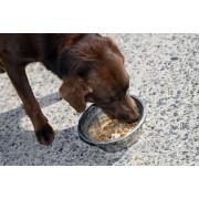 Spijsverteringssupplement voor honden Natural Innov Natural'Digest - 200 g