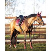 Zadeldek voor paarden QHP Gloss