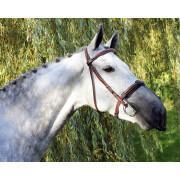 Antivliegneusbescherming voor paarden QHP